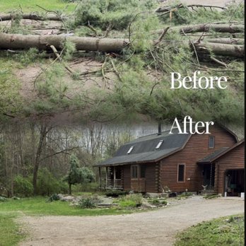 Gillis Tree Solutions - Tree Services Near Me - Grand Rapids, Michigan Gillis Tree Solutions - Tree Services Near Me - Grand Rapids, Michigan