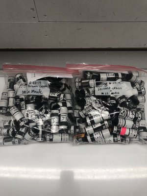 The Color House New York by null