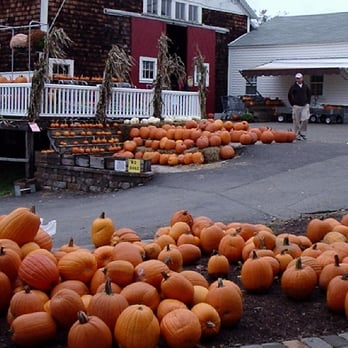 Cider Hill Farm - Pick Your Own Farms Near Me - Amesbury, Massachusetts Cider Hill Farm - Pick Your Own Farms Near Me - Amesbury, Massachusetts