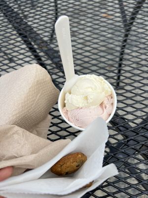 JoJo's Creamery by null