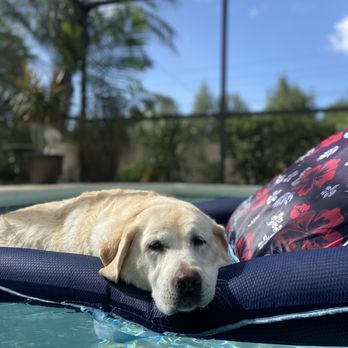 parkway emergency vet