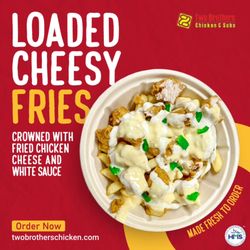 Two Brothers Express - Loaded Cheesy Fries
