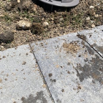ALM Exterminating - How they left it - Pest Control Near Me - Northport, New York