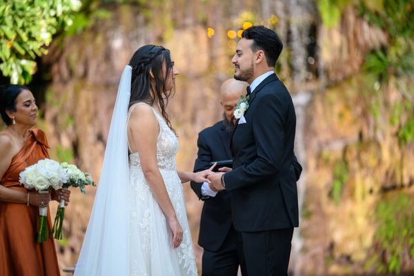 Secret Gardens Miami by null