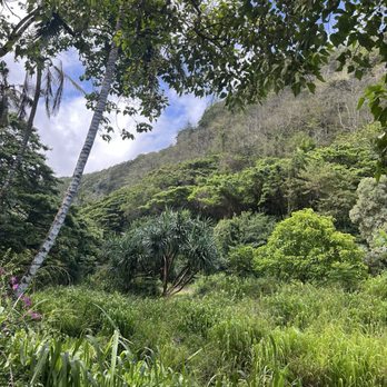 Toa Luau - Waimea Valley - Cultural Center Near Me - Haleiwa, Hawaii