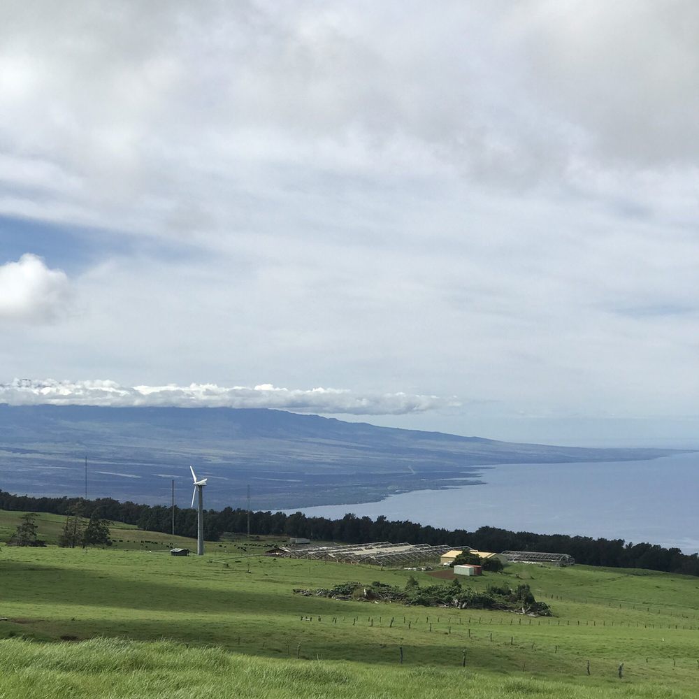 Na'alapa Stables - Horseback Riding Near Me - Kamuela, Hawaii Na'alapa Stables - Horseback Riding Near Me - Kamuela, Hawaii