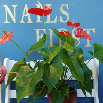 Nails First - Nail Salons Near Me - Lyndhurst, New Jersey
