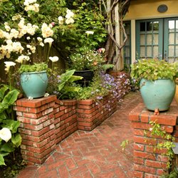 Arcata Stay - Arcata Stay's Rose Court Cottage vacation rental courtyard  surrounded by English roses and perennials.