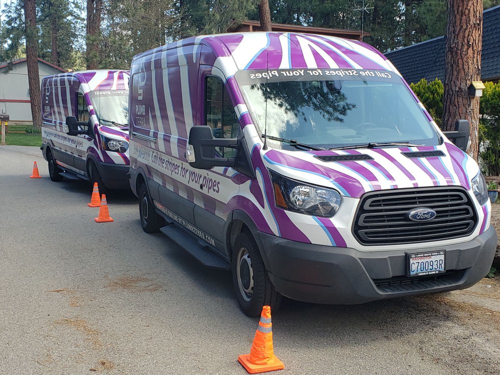 Slide of Plumb Zebra