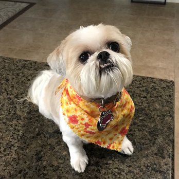 Tailwaggers - Pet Groomers Near Me - Fresno, California Tailwaggers - Pet Groomers Near Me - Fresno, California