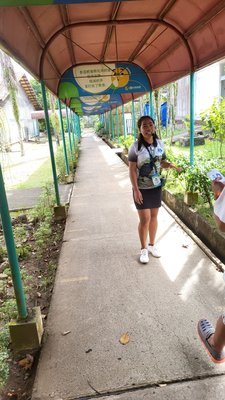 Palawan Wildlife Rescue and Conservation Center (Crocodile Farm) by null