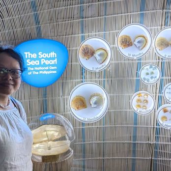 The Mind Museum - Museums Near Me - Taguig, NCR