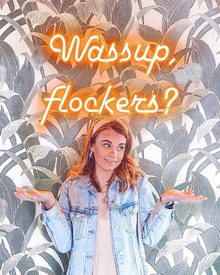 THRōW Social DC by null