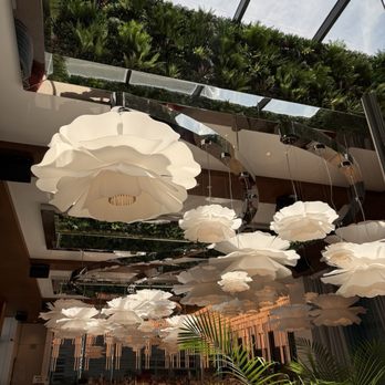 Lake Nona Wave Hotel - Beautiful late night area - Hotels Near Me - Orlando, Florida Lake Nona Wave Hotel - Beautiful late night area - Hotels Near Me - Orlando, Florida