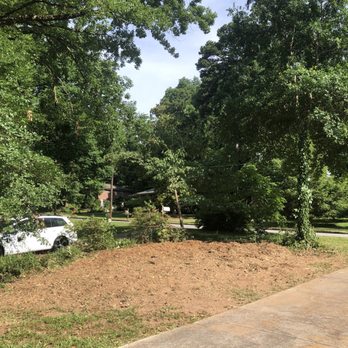 Stone Mountain Tree Service - Tree Services Near Me - Decatur, Georgia Stone Mountain Tree Service - Tree Services Near Me - Decatur, Georgia