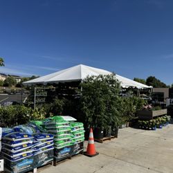 Tractor Supply - Garden area at Tractor supply is amazing! Everything I needed was there. Supper excited about Japanese maples and Dalia's