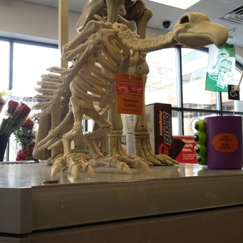 CVS PHARMACY - Updated March 2026 - 18 Photos & 21 Reviews - 240 Mac ...