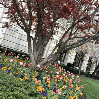 The St. Regis Washington, D.C - Hotels Near Me - Washington, DC, District of Columbia The St. Regis Washington, D.C - Hotels Near Me - Washington, DC, District of Columbia