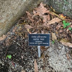 Fort Lauderdale Garden Club