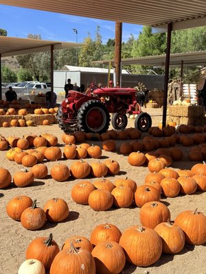 Gilchrist Farm by null