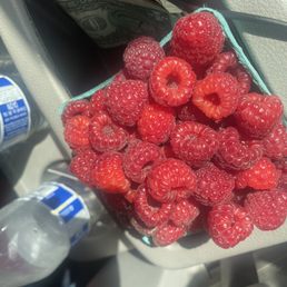 raspberries raspberries