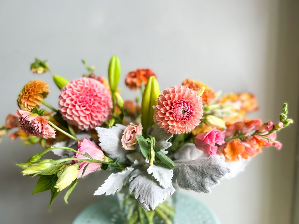 THE VINES FLOWER & GARDEN SHOP 99 Photos & 24 Reviews 33245 Grand