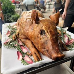 Pig Roast Pig Roast
