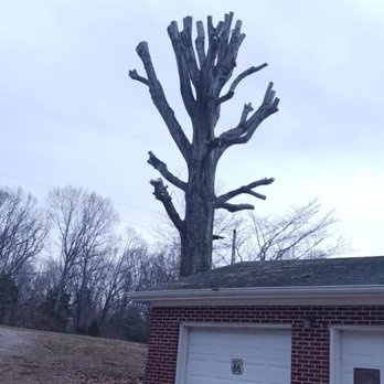 Bob Evans Tree Service - Tree Services Near Me - Indian Mound, Tennessee Bob Evans Tree Service - Tree Services Near Me - Indian Mound, Tennessee