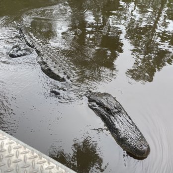 Airboat Adventures - Boat Tours Near Me - Lafitte, Louisiana