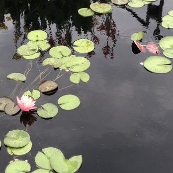 Chicago Botanic Garden - Botanical Gardens Near Me - Glencoe, Illinois