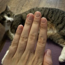 D I Nail Lounge - Unmanicured, before photo