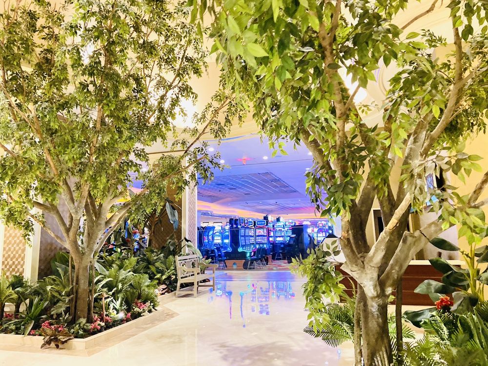 DRAGO’S SEAFOOD RESTAURANT Updated August 2024 367 Photos & 272