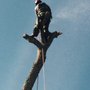 Photo of Tree Care Inc.