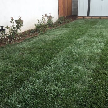 DW Landscape - Tree Services Near Me - Upland, California