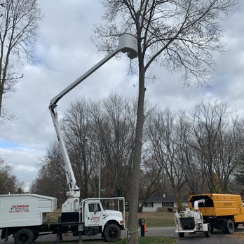 Redwood Landscape - Tree removal - Tree Services Near Me - Thorntown, Indiana Redwood Landscape - Tree removal - Tree Services Near Me - Thorntown, Indiana