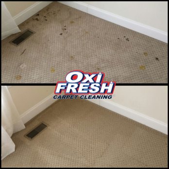 Oxi Fresh Carpet Cleaning - BEFORE/AFTER - Carpet Cleaning Near Me Oxi Fresh Carpet Cleaning - BEFORE/AFTER - Carpet Cleaning Near Me