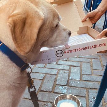 OTTO - Nom, nom, nom ...so good! - Pizza Near Me - Andover, Massachusetts