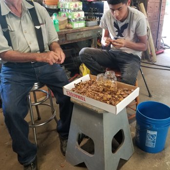 Gale's Bayport Feed - Freshest pecans in Houston. - Pet Stores Near Me - Seabrook, Texas