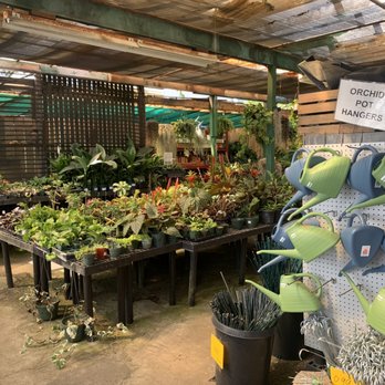 Koolau Farmers - Available plants - Home & Garden Near Me - Kaneohe, Hawaii Koolau Farmers - Available plants - Home & Garden Near Me - Kaneohe, Hawaii