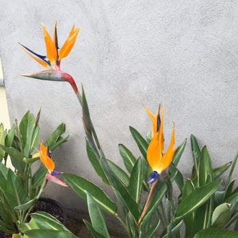 National Botanic Gardens - Parks Near Me - Glasnevin, D