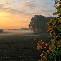 Naturschutzgebiet Venner Moor