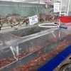 Four Oceans Seafood Inc gift card