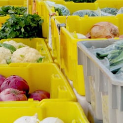 Farmers Market   The ASU Tempe Campus
