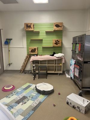 SPCA of Wake County by null