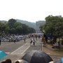 Photo of 林蔭大道