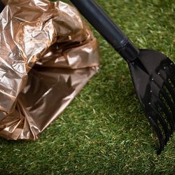 Eco Scoopers - Eco Scoopers provides the best possible service while optimizing eco-conscious waste removal practices.