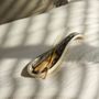 Photo of Light and Sable Healing