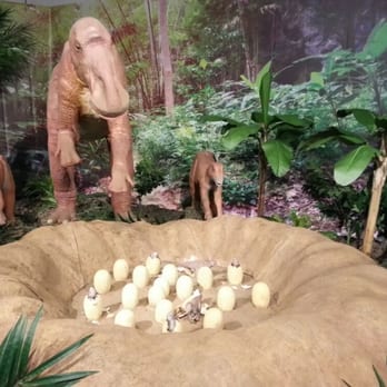 Bishop Museum - Museums Near Me - Honolulu, Hawaii