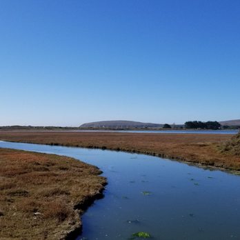 Bird Walk Coastal Access Trail - This view never gets old - Parks Near Me - Bodega Bay, California Bird Walk Coastal Access Trail - This view never gets old - Parks Near Me - Bodega Bay, California