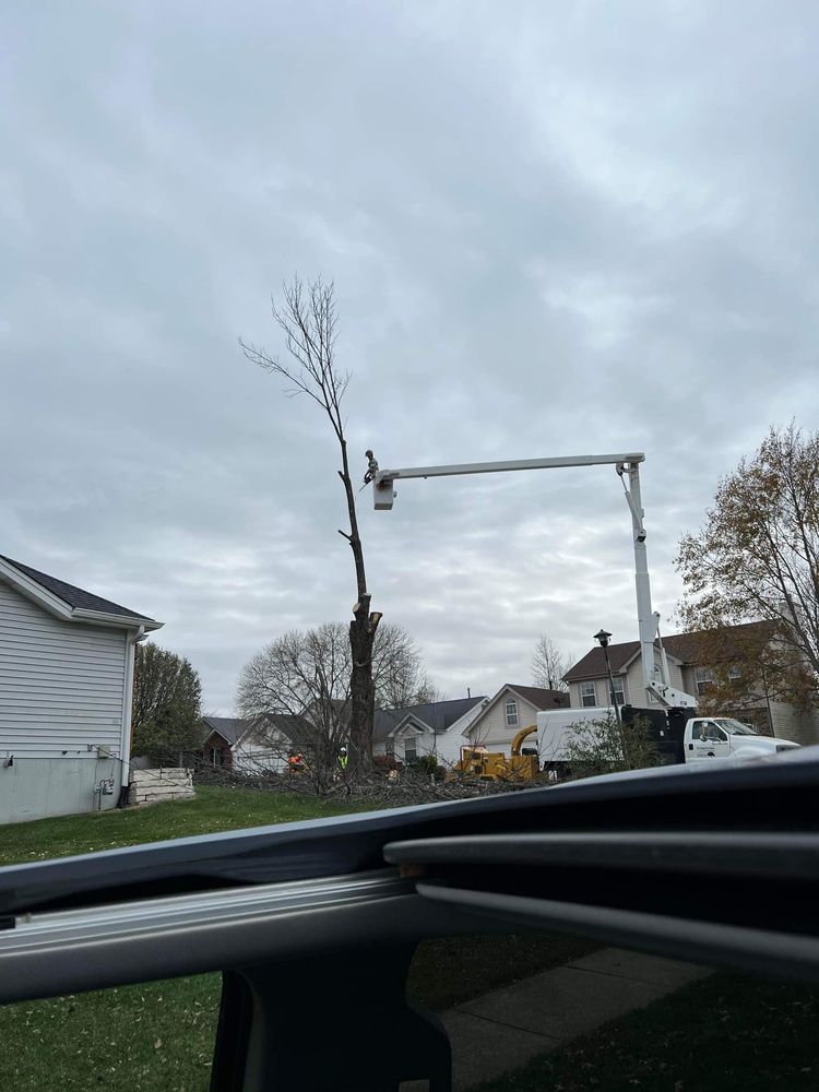 KJ's Premier Tree Service - tree service in Saint Louis, MO